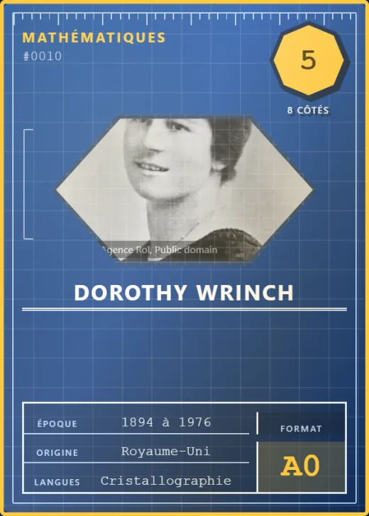 Carte « Dorothy Wrinch », rang 5